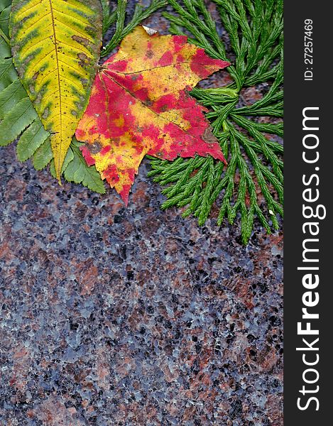 Fall leaf arrangement with granite back. Fall leaf arrangement with granite back