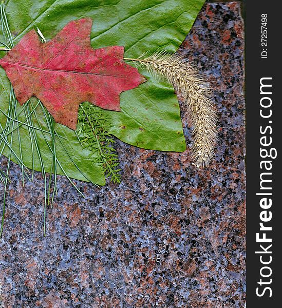Leaf boarder with granite background. Leaf boarder with granite background