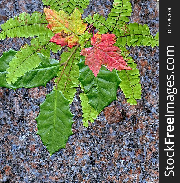 Leaf and rock background arrangment. Leaf and rock background arrangment