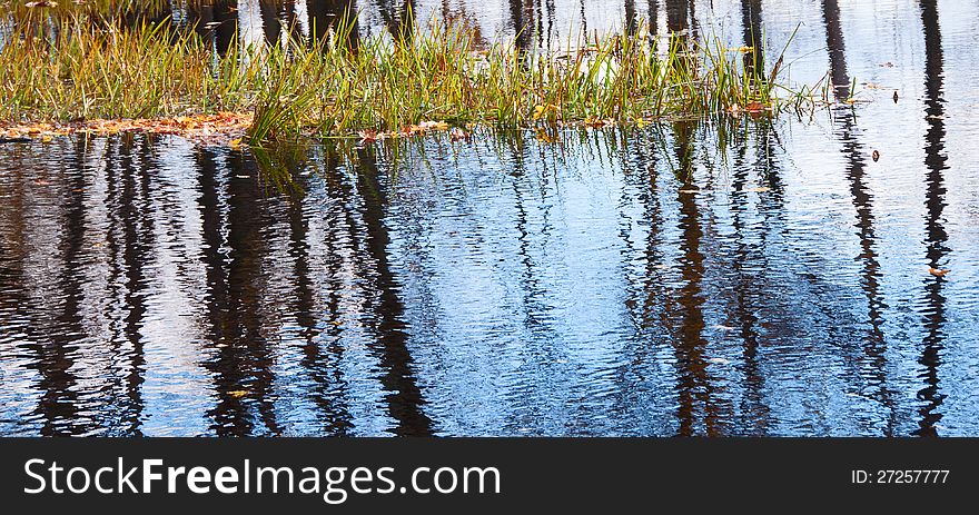 Reflections of black tree trunks in the Looking Glass River. Reflections of black tree trunks in the Looking Glass River