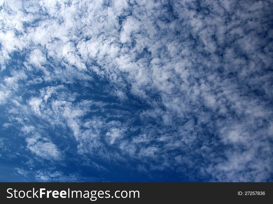 The dainty cirrostratus formations in the blue Australian sky are often called mackerel sky because of their resemblance to the fish scales with its small rounded white puff formations. The dainty cirrostratus formations in the blue Australian sky are often called mackerel sky because of their resemblance to the fish scales with its small rounded white puff formations.