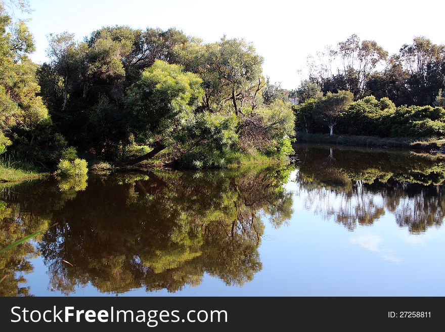 Reflections of Australian Trees in Blue Lake