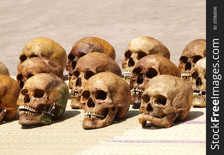Many skulls arrange in rows.