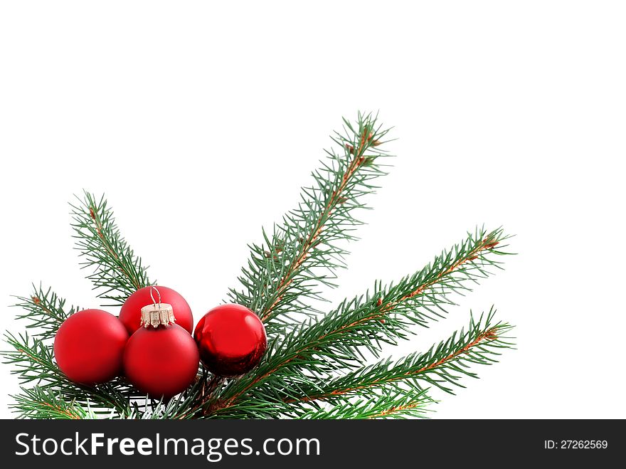 Branch of a fir tree with red christmas baubles. Branch of a fir tree with red christmas baubles