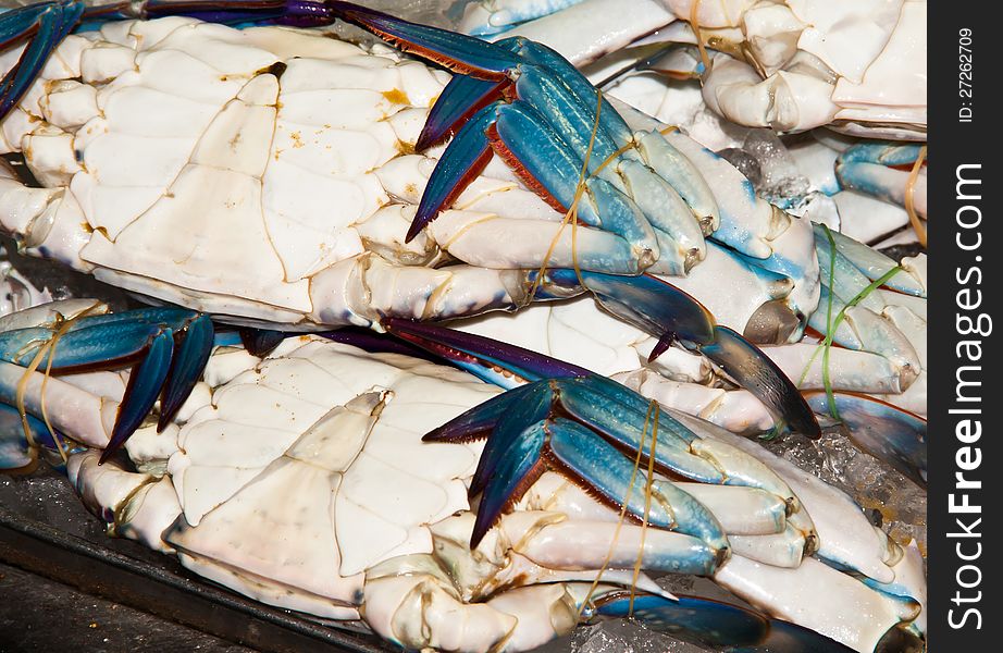 Sea crab was taken from the sea and immersed in ice in a plastic tray.