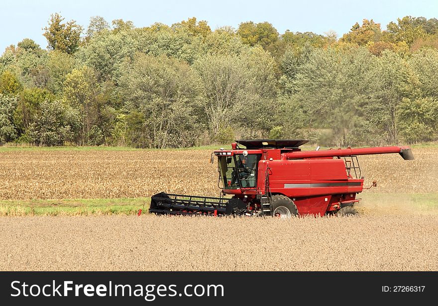 Red combine harvesting a crop of soybeans. Red combine harvesting a crop of soybeans
