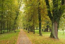 Autumn In The Park Stock Photo Autumn In The Park Stock Photo