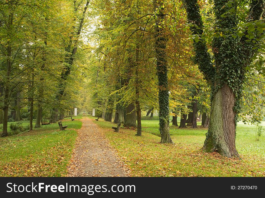 Autumn park, path lined with benches, fallen leaves. Autumn park, path lined with benches, fallen leaves.