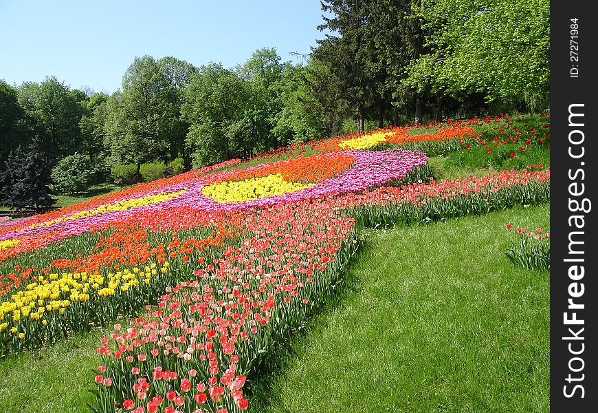 Park in Springtime in Ukraine, Kiev. Park in Springtime in Ukraine, Kiev