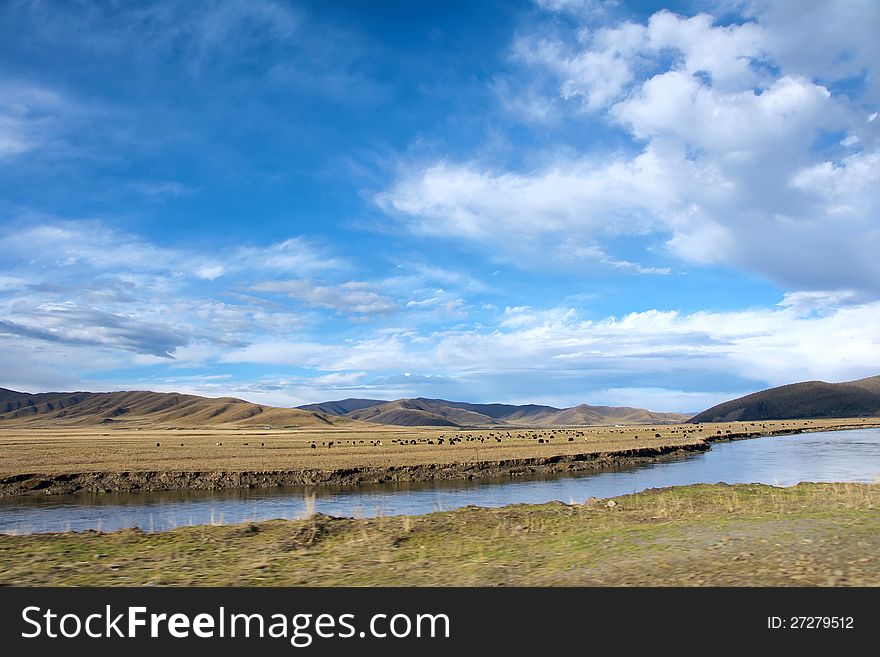 The landscape of White River in Ruoergai, Sichuan, China. The landscape of White River in Ruoergai, Sichuan, China