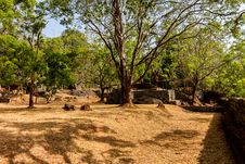 Gardens Of Sigiriya Lion S Rock Fortress Royalty Free Stock Image Gardens Of Sigiriya Lion S Rock Fortress Royalty Free Stock Image