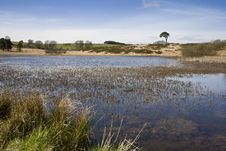 Priddy Pond, Somerset, Uk Stock Images Priddy Pond, Somerset, Uk Stock Images