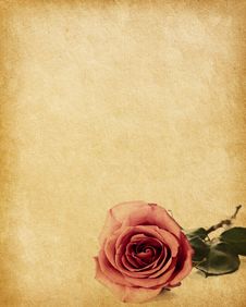83+ Red floral page border Free Stock Photos - StockFreeImages
