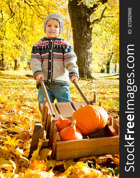 Little child with a wheelbarrow full of pumpkin