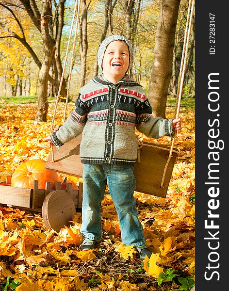 Excited little boy on a swing outdoor, autumn leaves on background