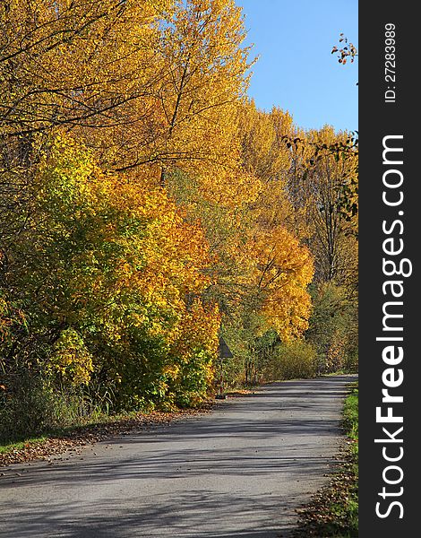 Autumn trees in region Liptov, Slovakia