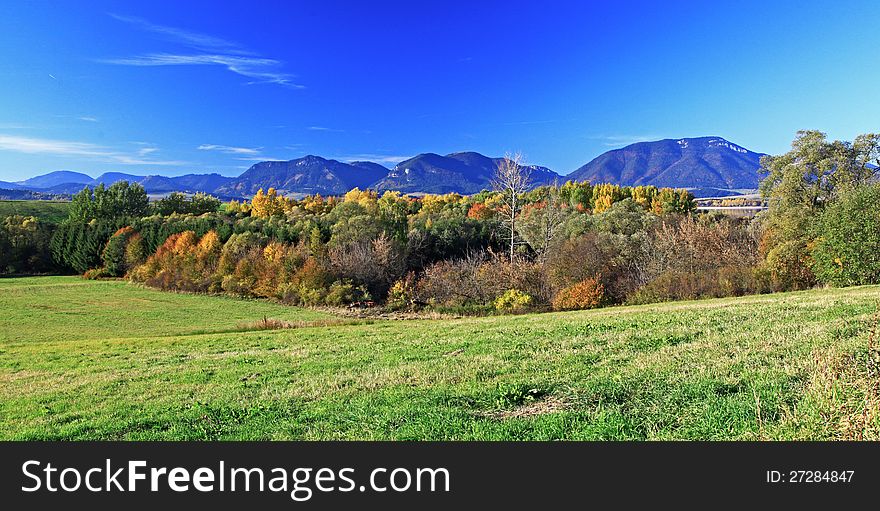 Autumn forest in region Liptov, Slovakia