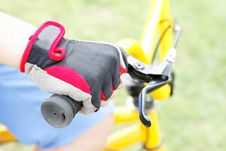 Boy S Hand On The Wheel Bicycle Stock Image Boy S Hand On The Wheel Bicycle Stock Image