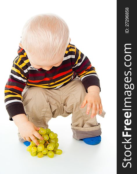 Little child picks grapes isolated