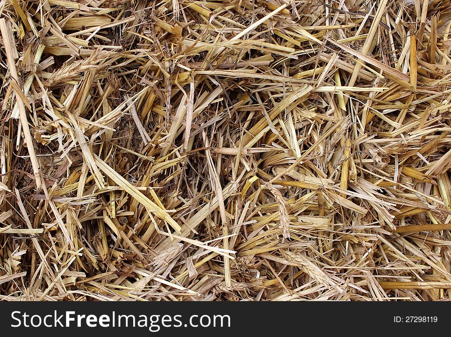 Background Of Brown Hay