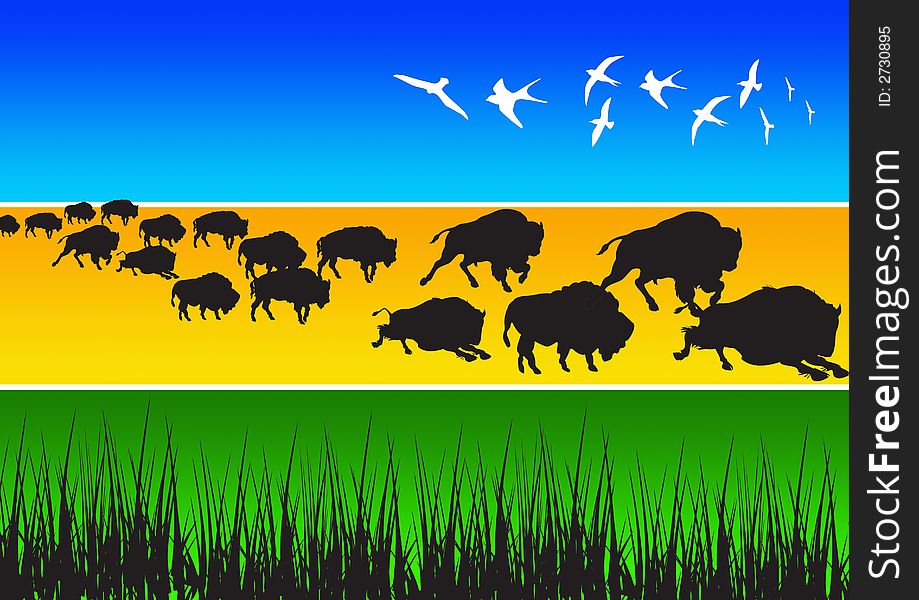 Illustration of buffalo, african animal silhouettes