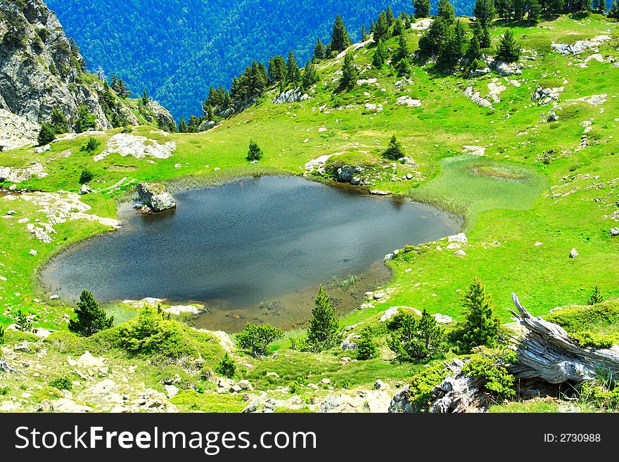 Small pond in the alps during summer
