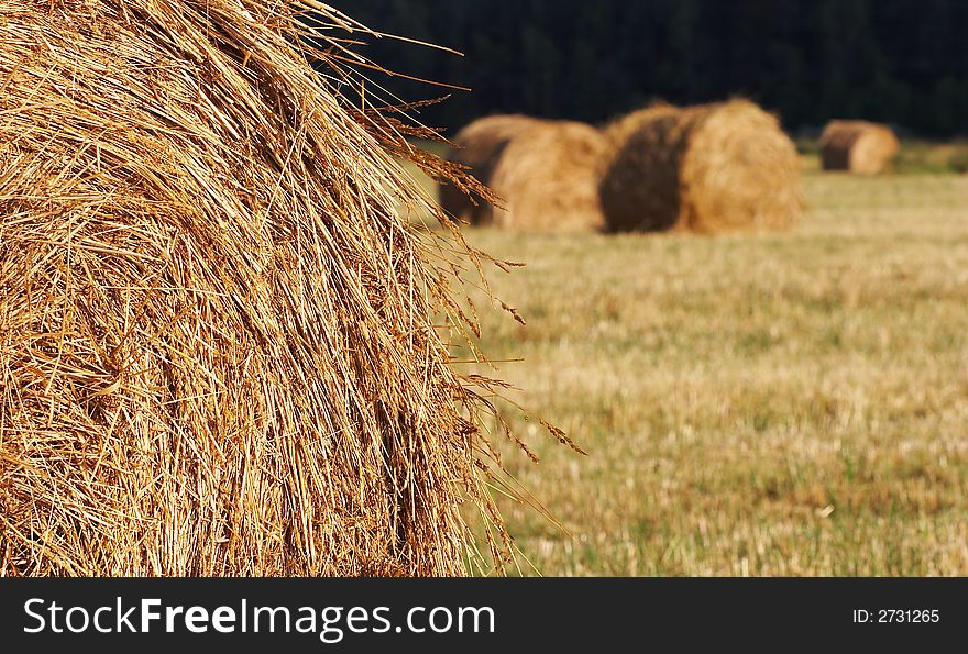 Glade with haystacks. Russia. NEAR Moscow. Glade with haystacks. Russia. NEAR Moscow