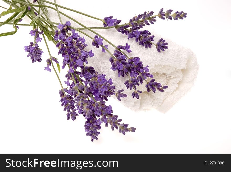 Lavender bath items isolated on the white background