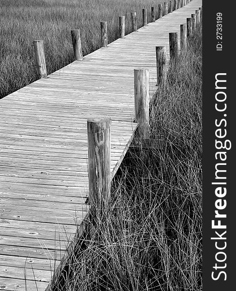 Wooden Boardwalk