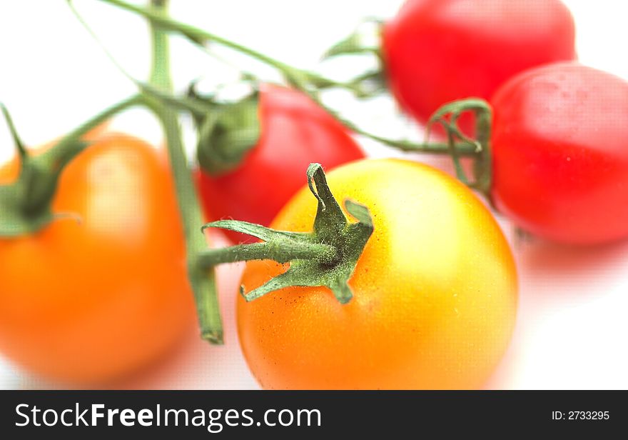 Mixed tomatoes on the vine against a white background