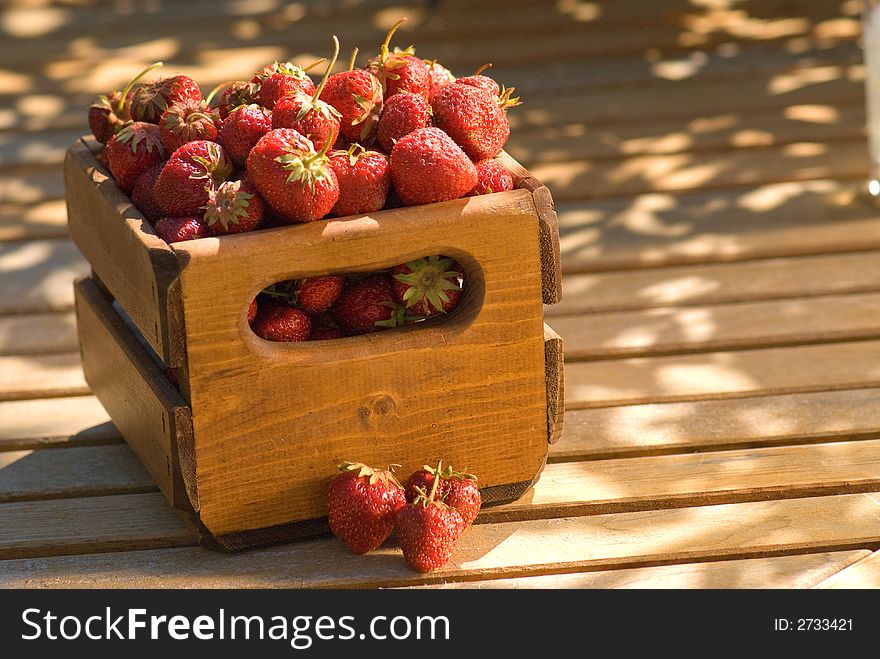 A crate of organic wild strawberries in dappled sunshine. A crate of organic wild strawberries in dappled sunshine