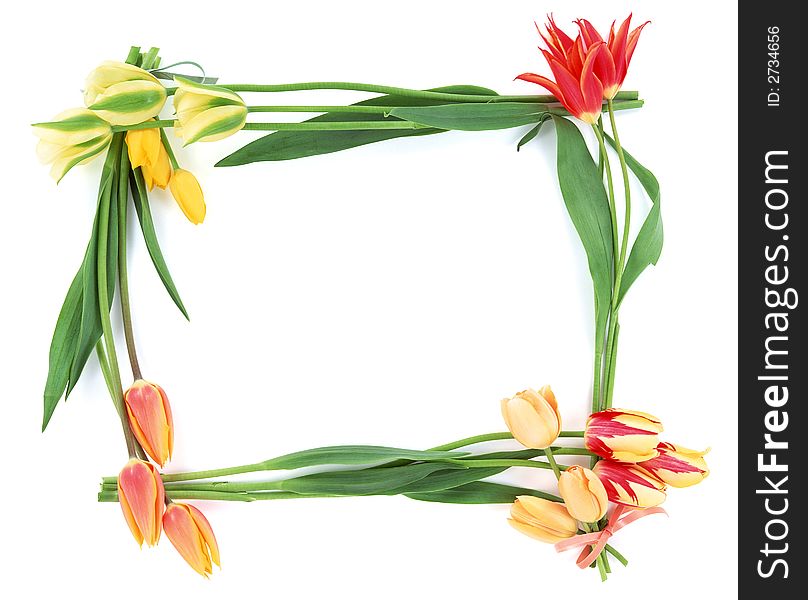 This is a White Background Flower Frame. This is a White Background Flower Frame