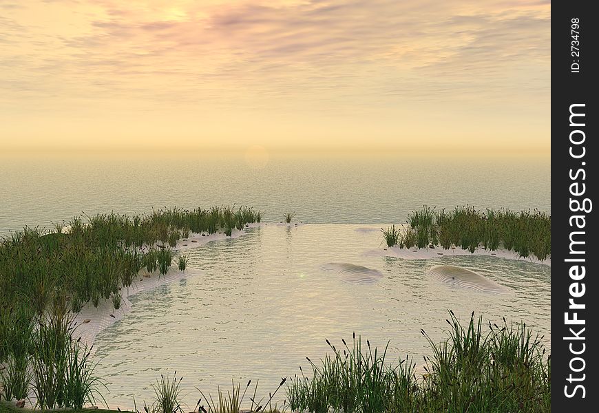 Water plants on a sea sunset  background  -  3D scene. Water plants on a sea sunset  background  -  3D scene.