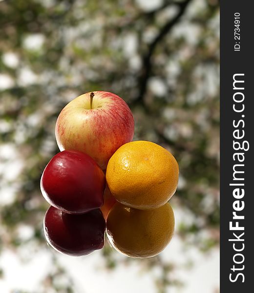 An apple an orange and a plum reflected on a mirror with a tree as a background texture. An apple an orange and a plum reflected on a mirror with a tree as a background texture