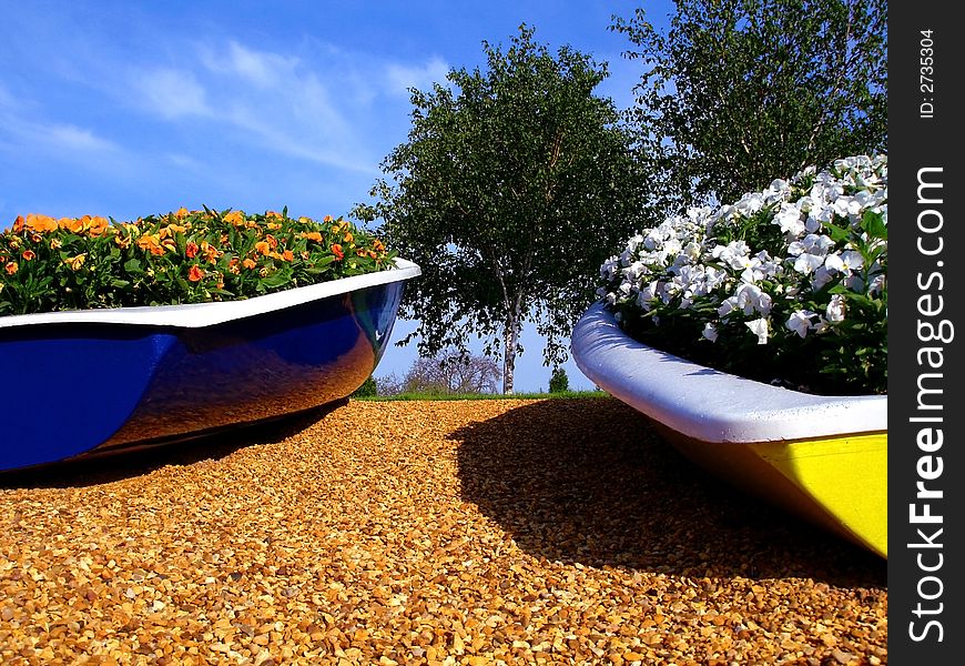 A view of flowers in boats blooming. A view of flowers in boats blooming.