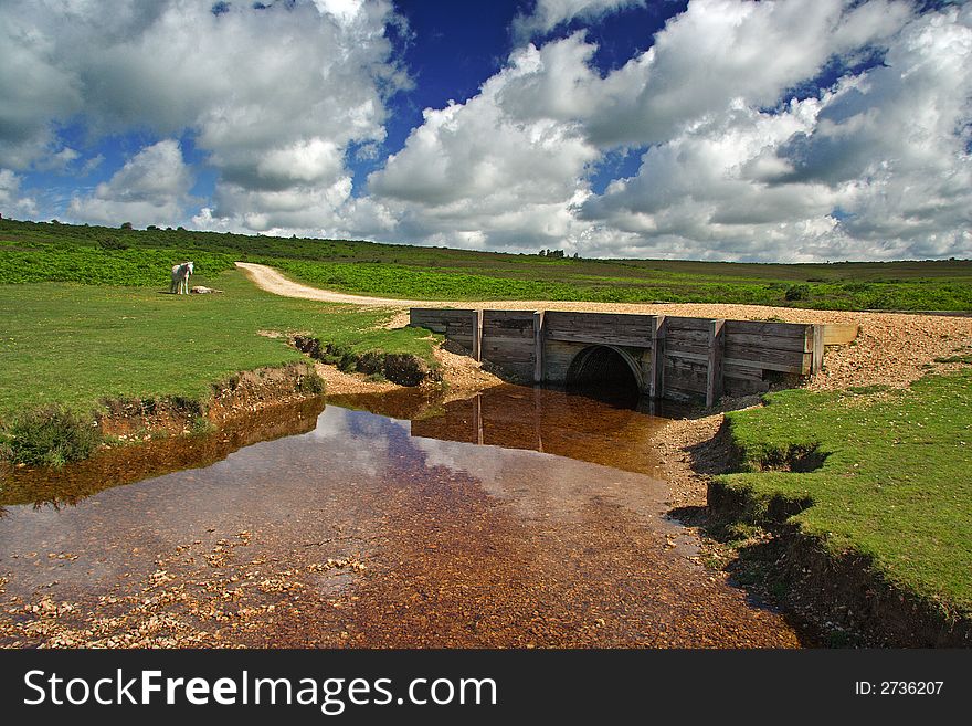 The Bridge