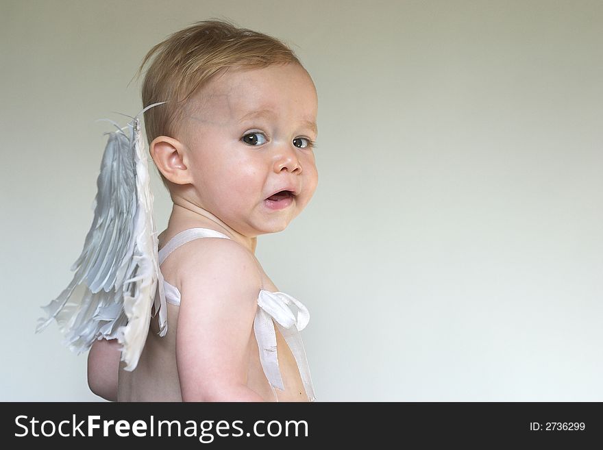 Image of an adorable toddler wearing angel wings. Image of an adorable toddler wearing angel wings