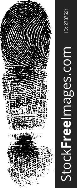 Full Finger FingerPrint (Very Detailed Vector Image). Full Finger FingerPrint (Very Detailed Vector Image)