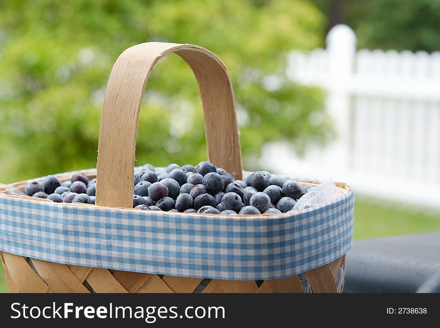 A basket of freshly picked blueberries. Narrow depth of field. Focus is on the blueberries. A basket of freshly picked blueberries. Narrow depth of field. Focus is on the blueberries.