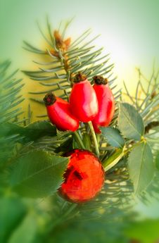 Christmas Decorations Stock Photos Christmas Decorations Stock Photos