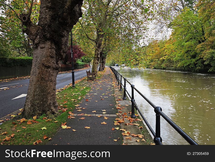 Early Autumn by the River Thames in England