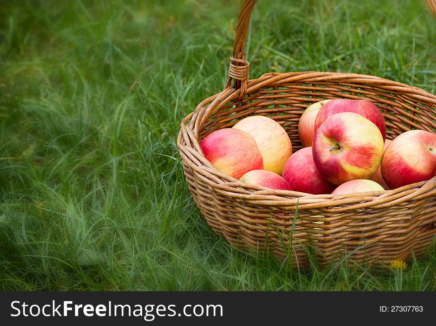 Apples In Wicker Basket