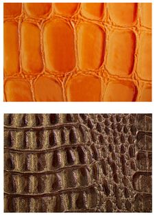Pattern Snake Skin Leather Royalty Free Stock Photo Pattern Snake Skin Leather Royalty Free Stock Photo