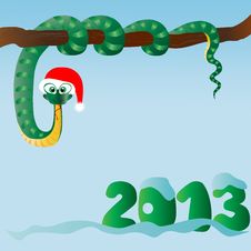Funny Snake &x28;symbol Of 2013 Year&x29; Royalty Free Stock Photography Funny Snake &x28;symbol Of 2013 Year&x29; Royalty Free Stock Photography
