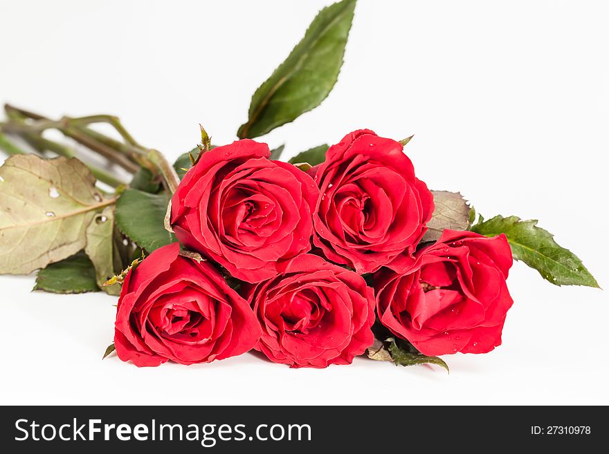 Roses bouquet isolated on white background. Roses bouquet isolated on white background
