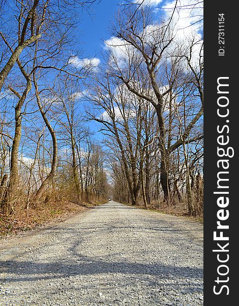 Beautiful tree lined gravel road during winter. Beautiful tree lined gravel road during winter