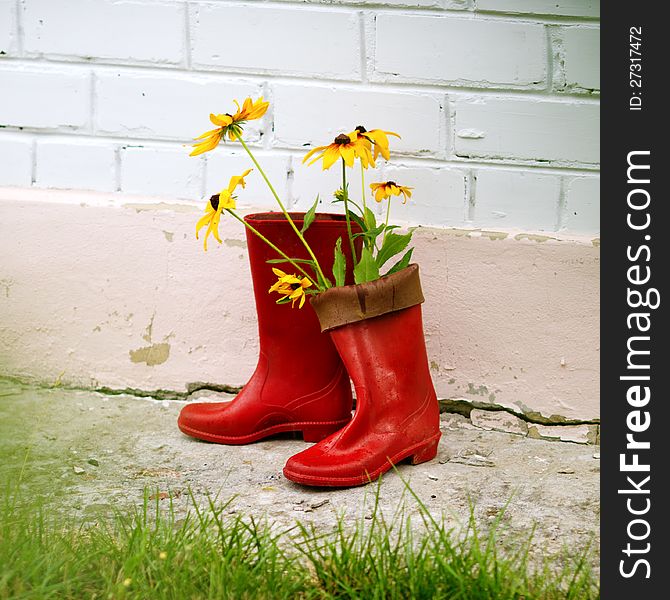 Red rain boots and flowers by the ouse wall. Red rain boots and flowers by the ouse wall