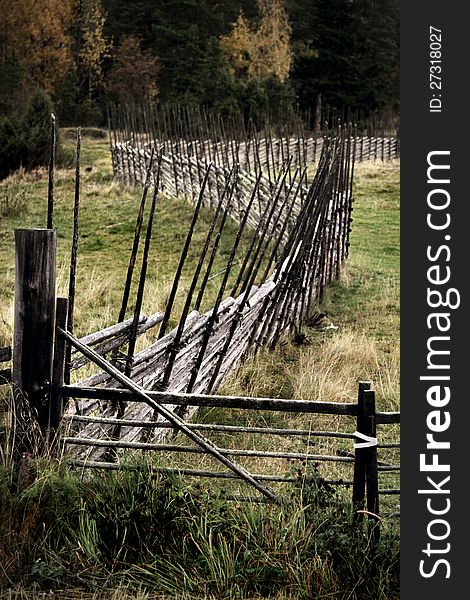 Swedish fence made of fir