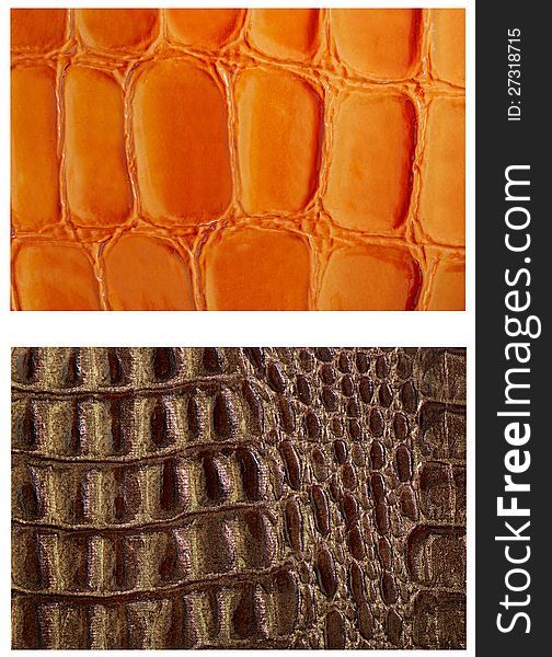Pattern Snake Skin Leather