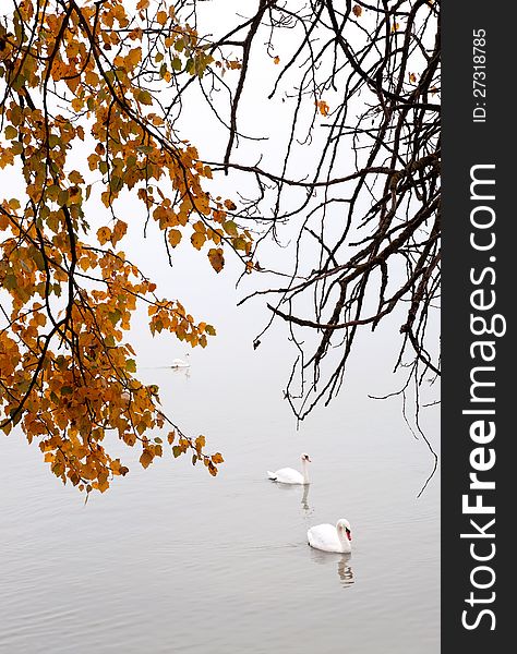 Autumn day at Lake Balaton,Hungary